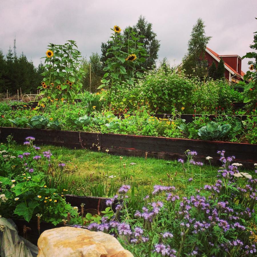 Escape To Paulssonpaleo Bed & Breakfast Simlångsdalen Dış mekan fotoğraf