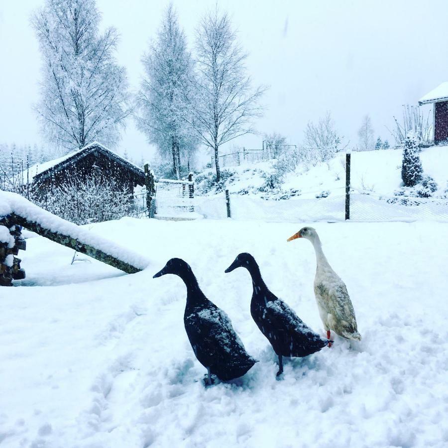 Escape To Paulssonpaleo Bed & Breakfast Simlångsdalen Dış mekan fotoğraf